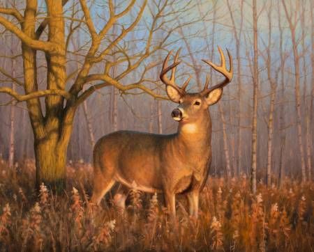 In The Spotlite Deer Panel 36" Four Seasons Collection David Textiles Cotton fabric