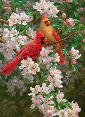 Spring Romance Cardinal Panel 36" Four Seasons Collection David Textiles Cotton fabric