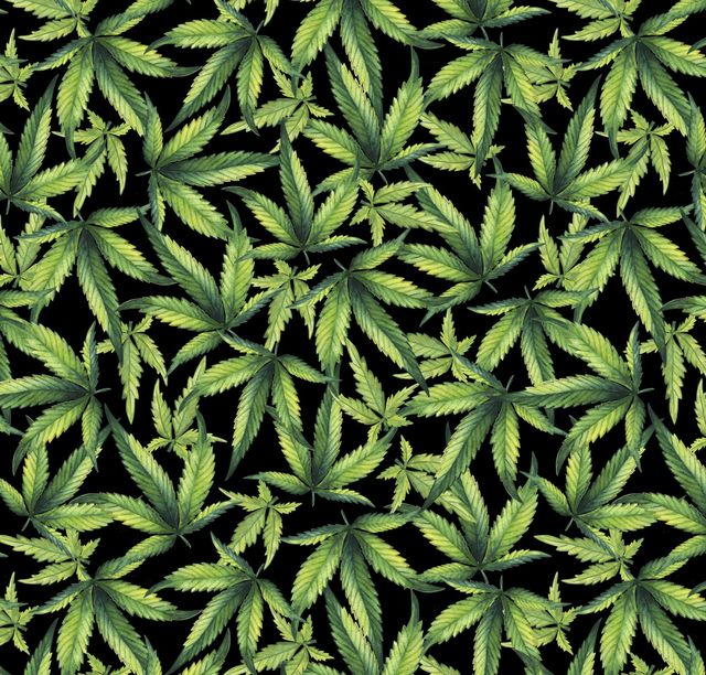 Marijuana Plant Cannabis Black David Textiles Cotton Fabric