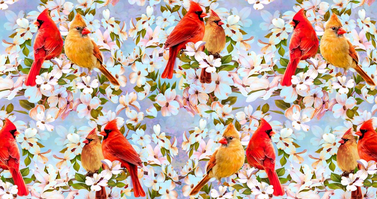 Cardinal pair and dogwood blue allover David Textiles Cotton Fabric