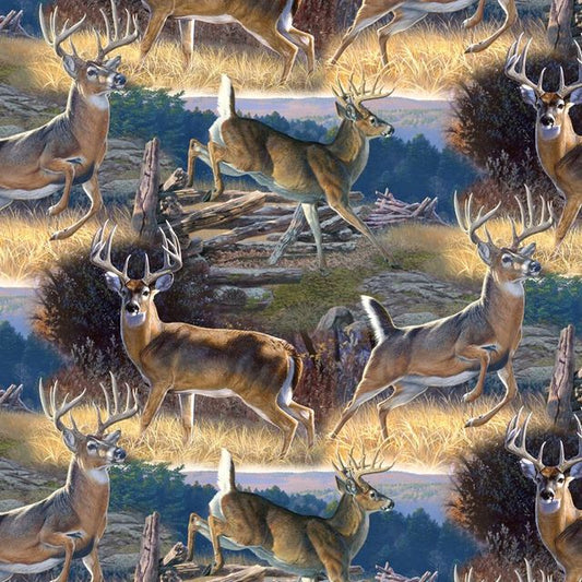 Whitetail Deer Scenic Allover - Deer Fall Activity David Textiles Cotton Fabric