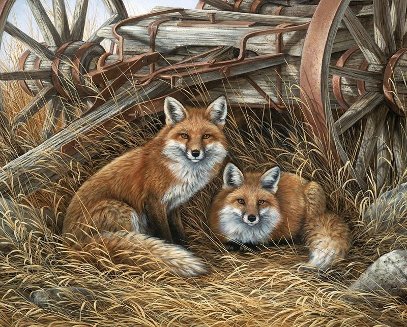 Rustic Retreat Two Foxes Under Old Wagon Panel 36" David Textiles Cotton Fabric