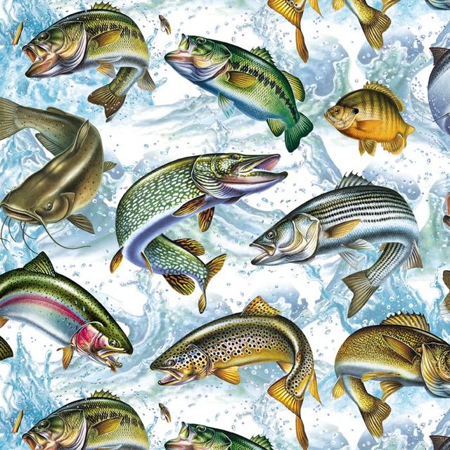 Fresh Water Fishing Fish Activity Art Licensing David Textiles Cotton Fabric