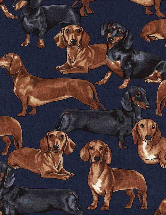 Dachshunds Dogs Navy Blue George McCartney Timeless Treasures Cotton Fabric