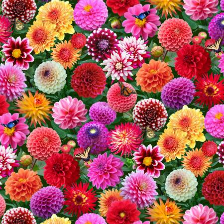 Dahlias Multi Colored Burst of Color Elizabeth's Studio Cotton Fabric