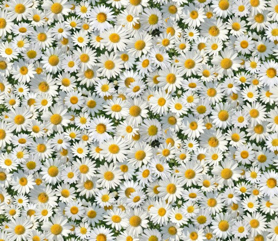 Daisies Packed Landscape Medley Birdbath Gathering Elizabeth's Studio Cotton Fabric