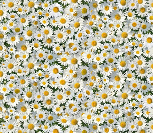 Daisies Packed Landscape Medley Birdbath Gathering Elizabeth's Studio Cotton Fabric