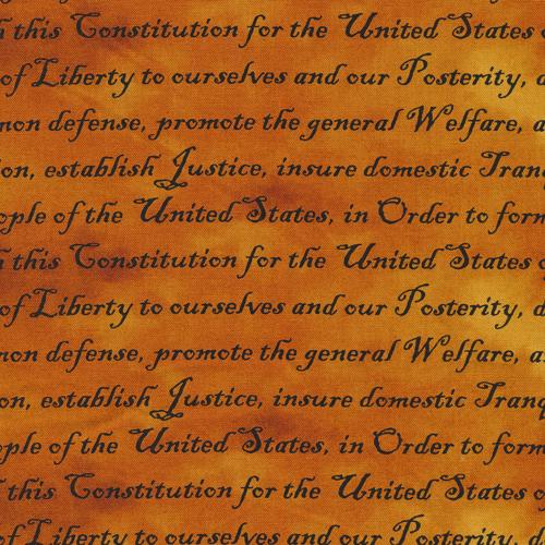 Defenders of Freedom Patriotic Constitution Preamble Words Amber Paintbrush Studio Cotton Fabric