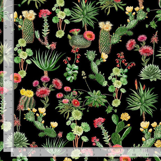 Desert Blooming Cactus Flowers Black West Timeless Treasures Cotton Fabric