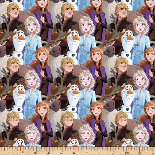 Disney Frozen 2 Friends Forever Packed Springs Creative Cotton Fabric