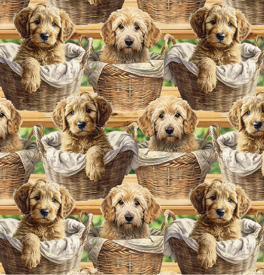 Doggies! Baby Goldendoodles Allover Multi David Textiles Cotton Fabric DT-AL-4284-3C-1