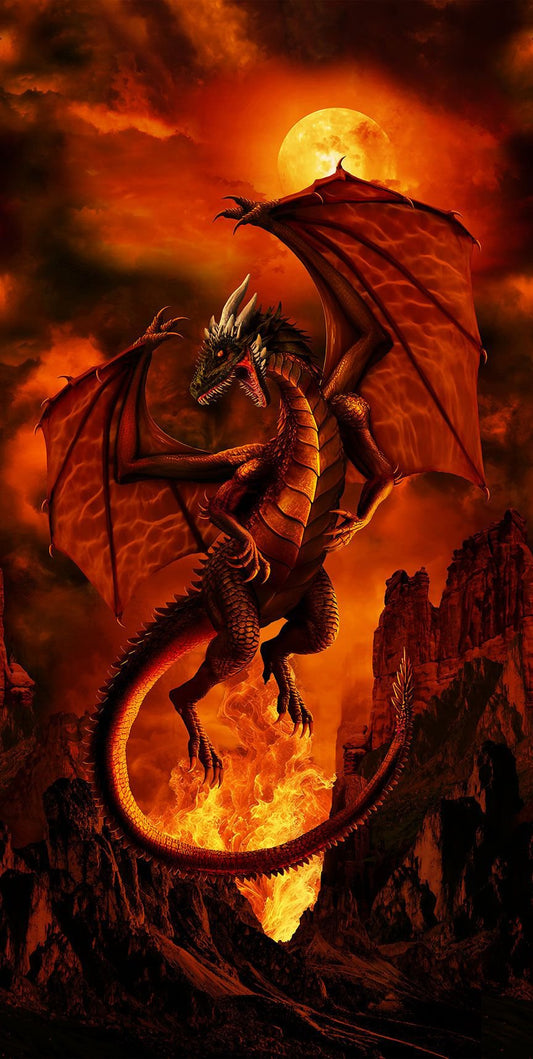 Dragon Fire Panel 24" Timeless Treasure Cotton Fabric TT-PANEL-CD3940-FIRE