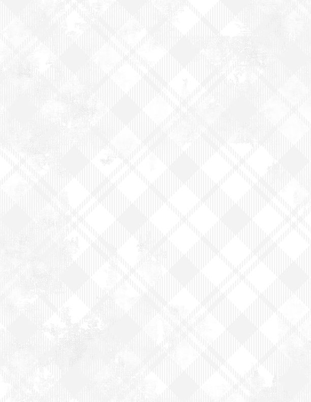 Dry Brush Plaid White Essential Basics Danhui Nai Wilmington Prints Cotton Fabric WP-1077-89291-100