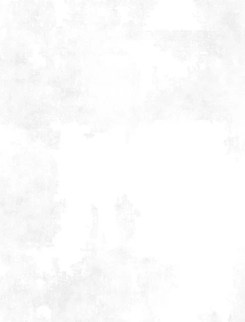 Dry Brush White on White Danhui Nai Wilmington Prints Cotton Fabric WP-1077-89205-100