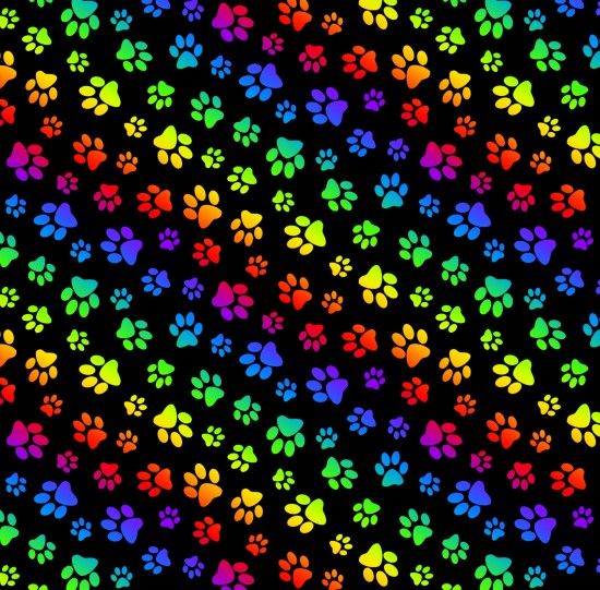 Paw Prints Rainbow Black Elizabeth's Studio Cotton Fabric