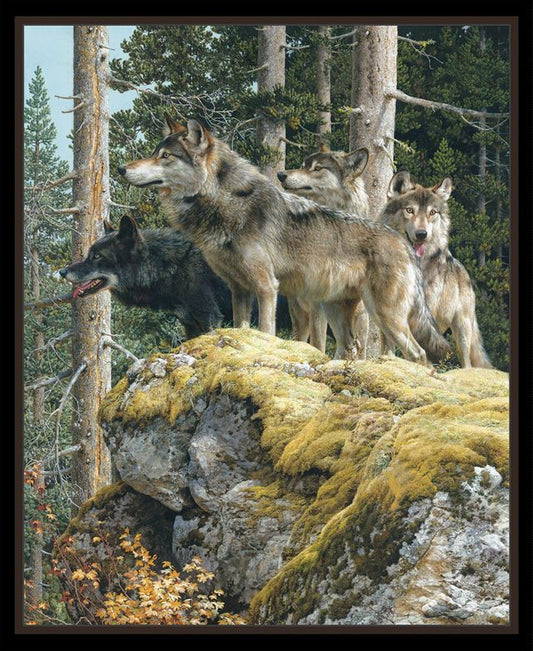 Wolf Black Alpha Wolf Wolves Wolfpack Panel 36" Elizabeth's Studio Cotton Fabric Cotton Fabric