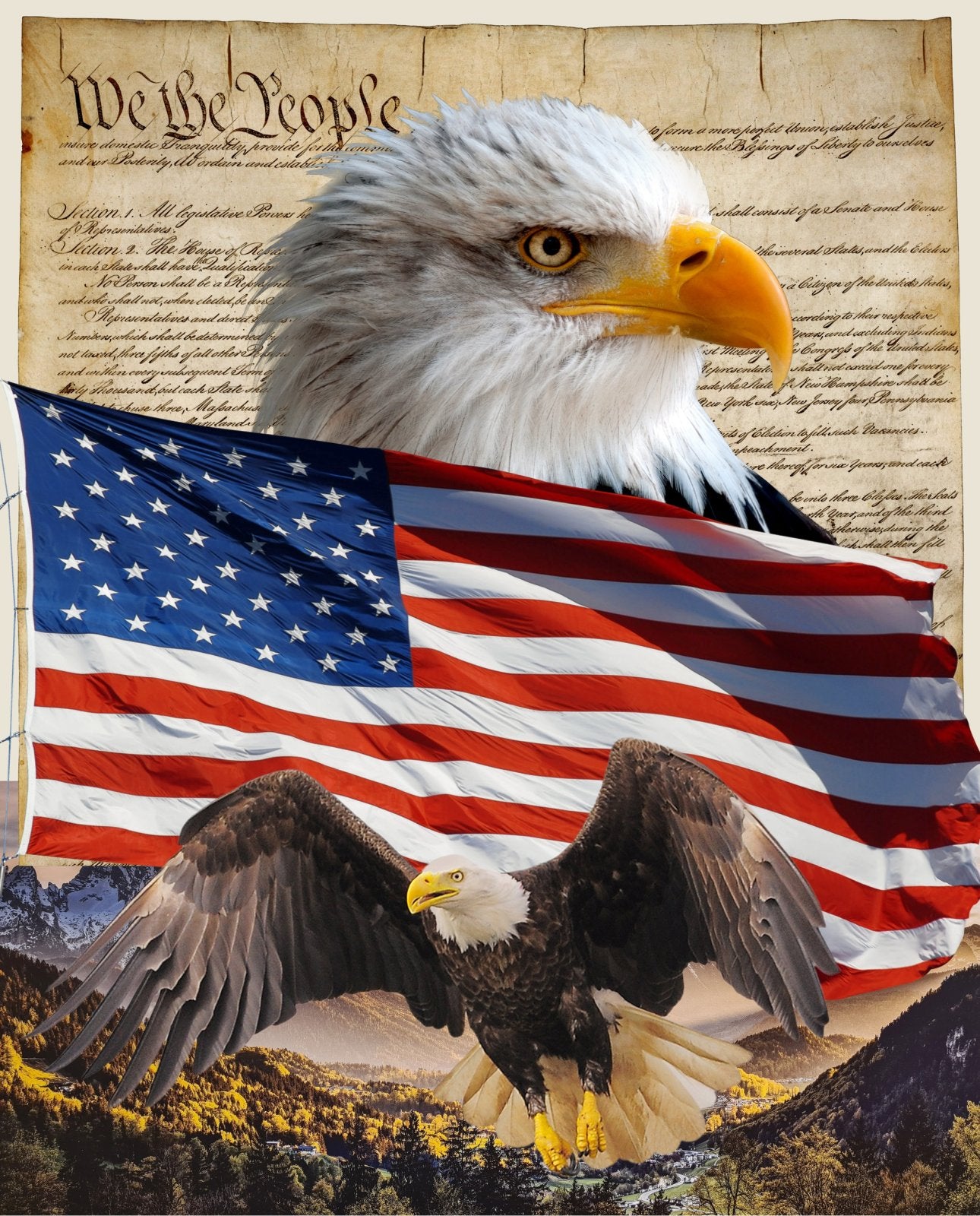 Eagle & Constitution Panel 36" Multi David Textiles Cotton Fabrics DT-DX-4234-3C-1