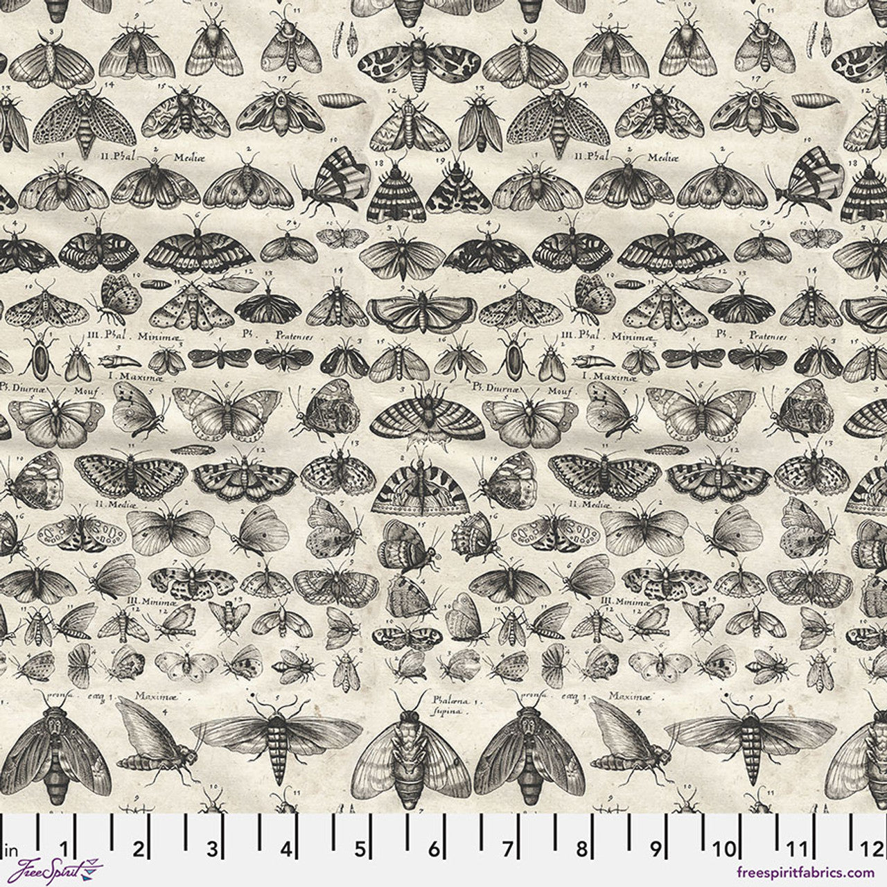 Eclectic Elements Charcoal Palette Moths Charcoal Tim Holtz Free Spirit Cotton Fabric FS-PWTH315.CHARCOAL
