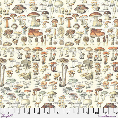 Eclectic Elements Orange Palette ToadStools Orange Tim Holtz Free Spirit Cotton Fabric FS-PWTH236.Orange