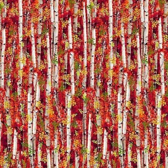 Electric Nature Fall Leaves and Birch Stripe Multi Timeless Treasures Cotton Fabric