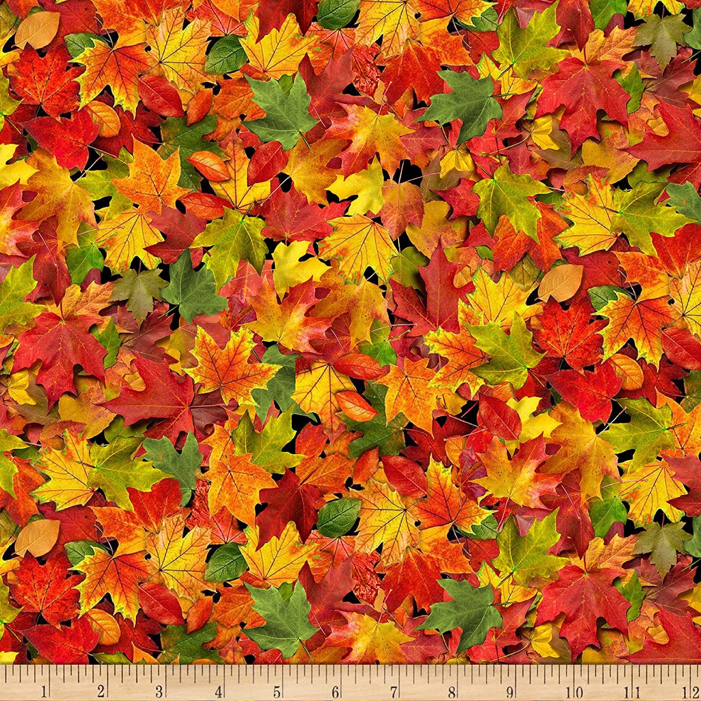 Fall Foliage Medium Autumn Leaves Multi Timeless Treasures Cotton Fabric