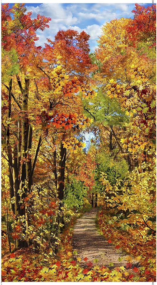 Fall Foliage Scenic Panel 24" Multi Timeless Treasures Cotton Fabric
