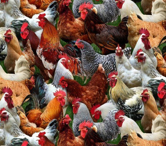 Farm Animals Chicken Packed Elizabeth's Studio's Cotton Fabric ES-601-Multi