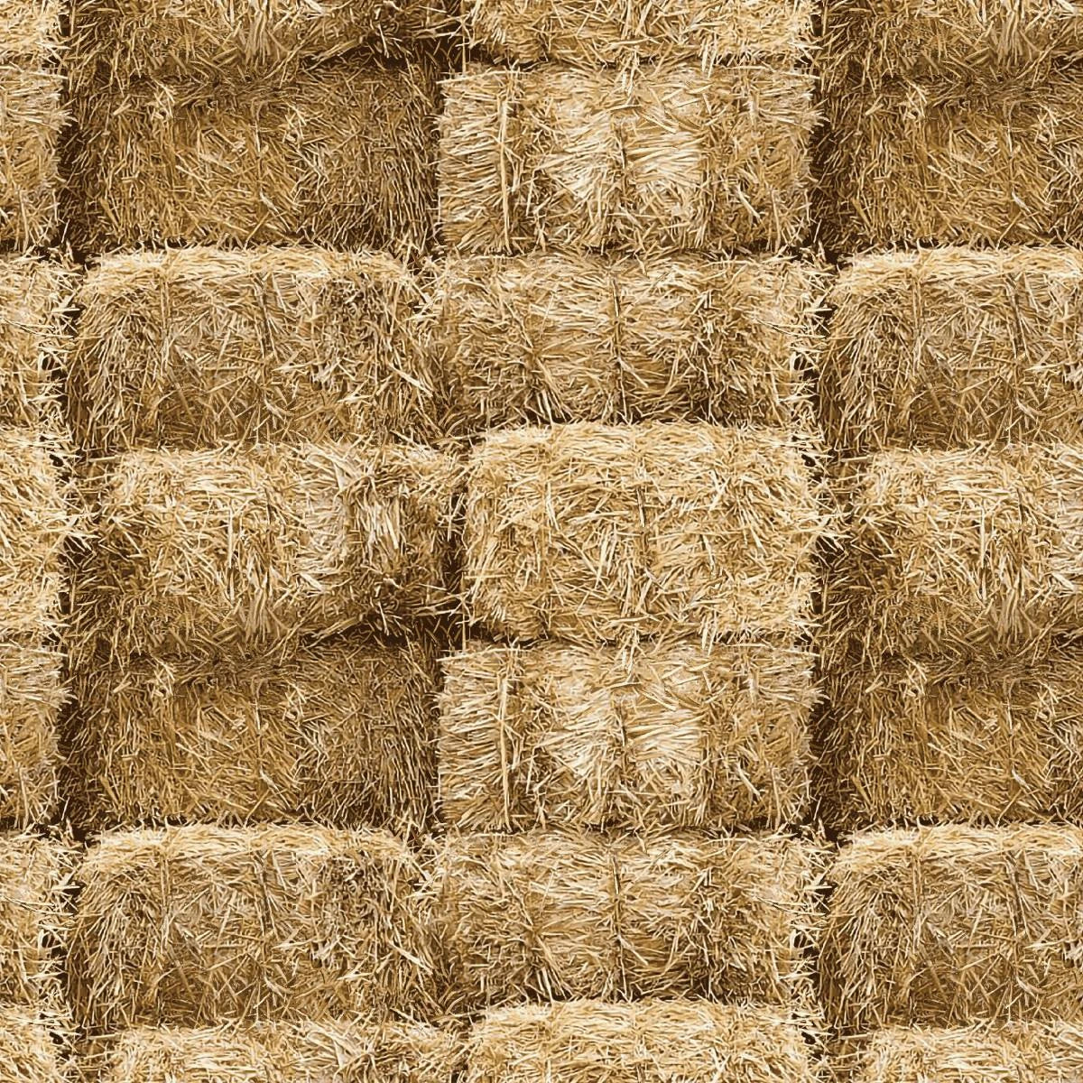 Farmall Stacked Hay Beige Tractors AE Nathan Cotton Fabric AEN-2872-33