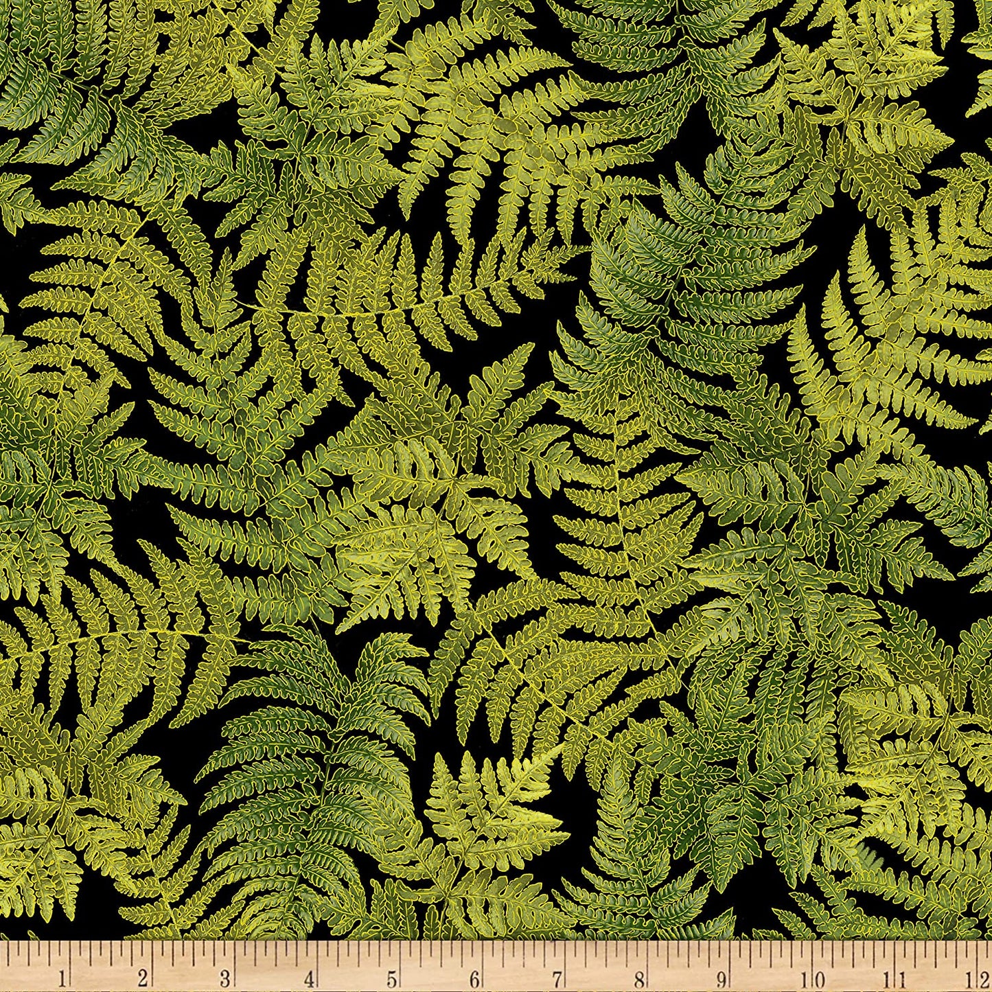 Fern Fall Glory Fern Leaves Metallic Black Harvest Timeless Treasures Cotton Fabric