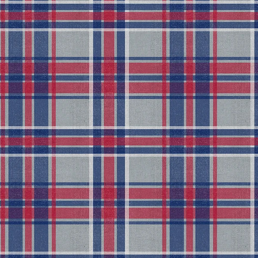 Field of Freedom New England Plaid Football Blue Red Paintbrush Studios Cotton Fabric PBS-120-26849