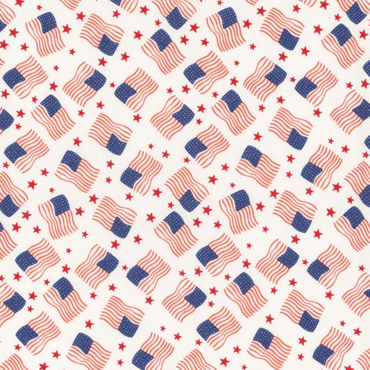 Firecracker Flags White My Mind's Eye Riley Blake Designs Cotton Fabric RB-C17203-WHITE
