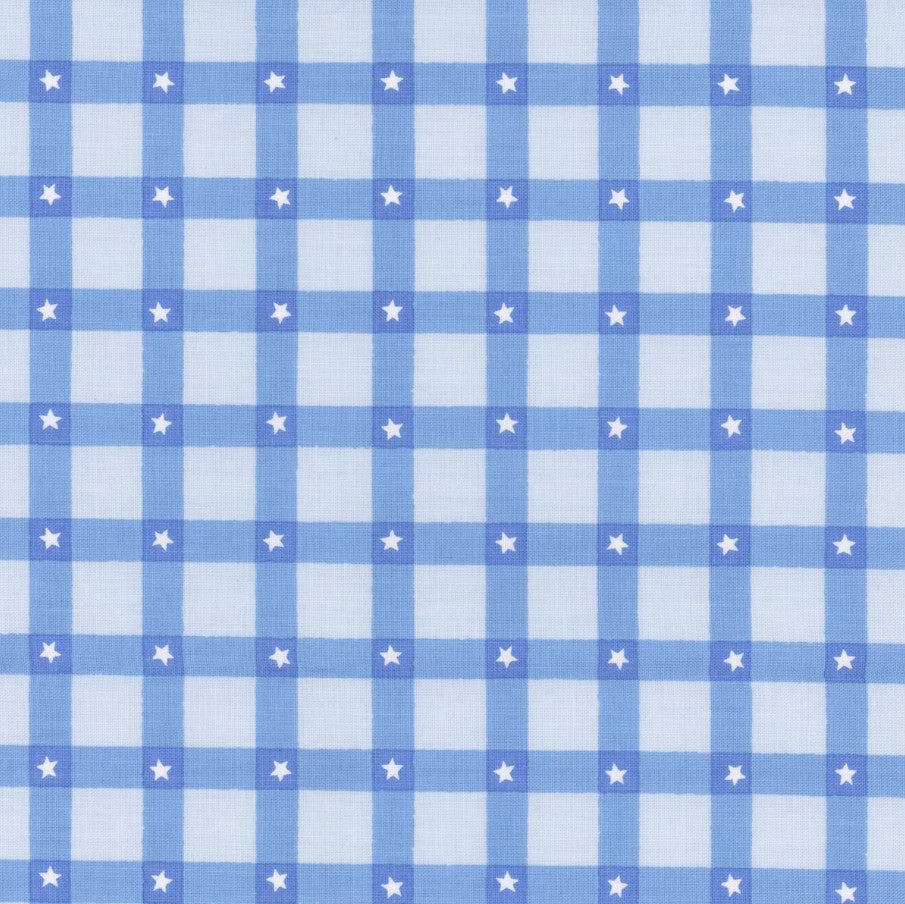 Firecracker Plaid Frost Blue My Mind's Eye Riley Blake Designs Cotton Fabric RB-C17202-FROST