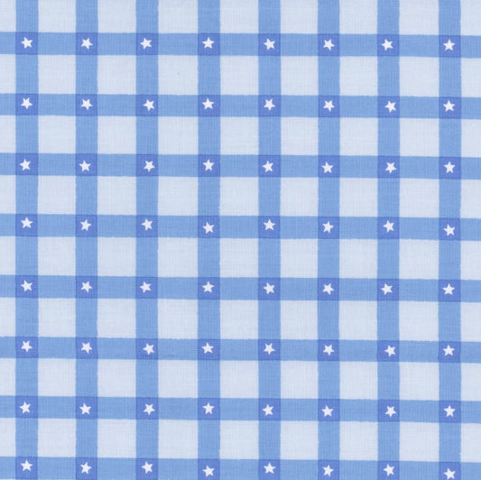 Firecracker Plaid Frost Blue My Mind's Eye Riley Blake Designs Cotton Fabric RB-C17202-FROST