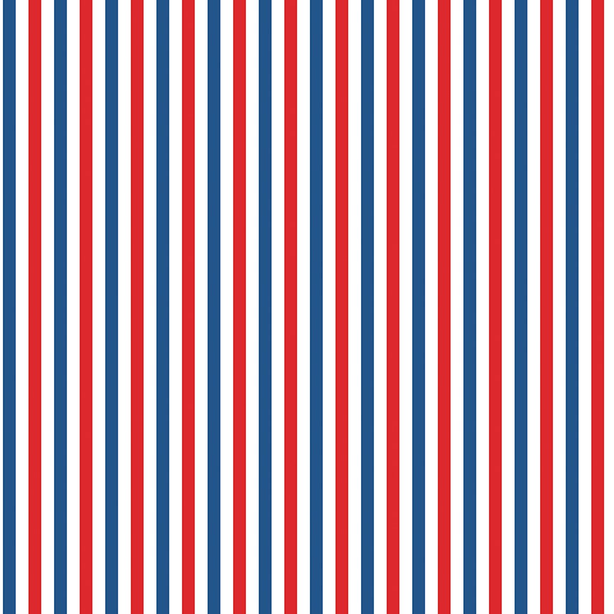 Firecracker USA250 Stripes Multi in Red, White and Blue My Mind's Eye Riley Blake Designs Cotton Fabric RB-C17205-MULTI | US Fabric Shop