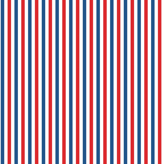 Firecracker USA250 Stripes Multi in Red, White and Blue My Mind's Eye Riley Blake Designs Cotton Fabric RB-C17205-MULTI