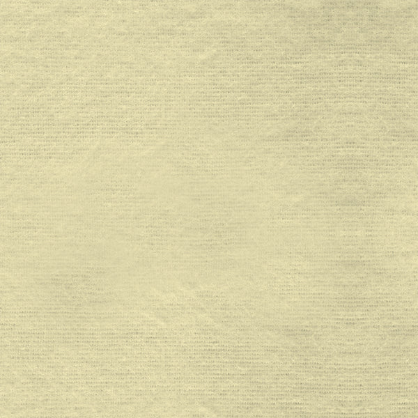 Flannel Lightweight Solid Maize Light Yellow Paintbrush Studio Cotton FLANNEL Fabric PBS-158014
