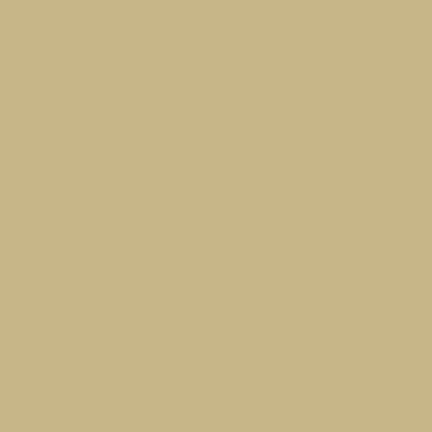 Flannel Solid 2-Ply Flannel Stronger & Loftier Tan Robert Kaufman Cotton Fabric RK-F019-1369