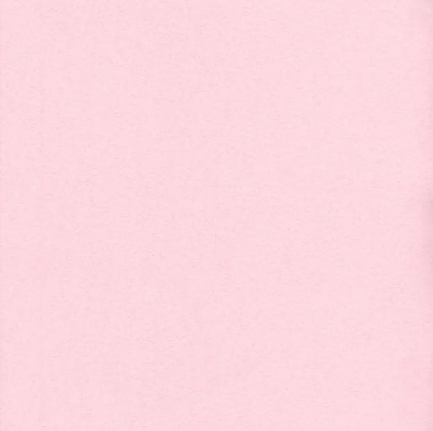 Flannel Solid Pink Paintbrush Studios Cotton Fabric PBS-158023
