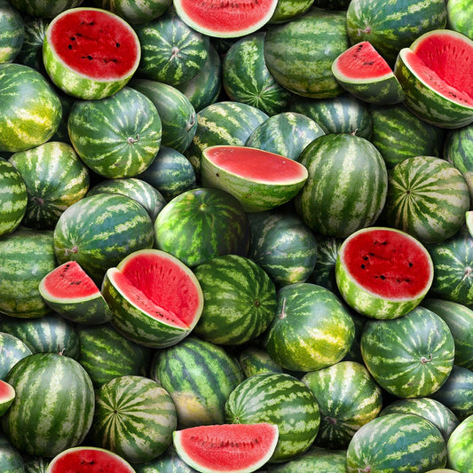 Food Festival Watermelons Green Elizabeth's Studio Cotton Fabric