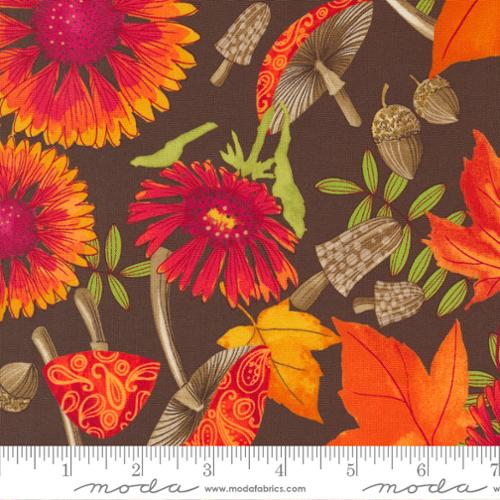 Forest Frolic Indian Blanket Flowers Chocolate Brown Robin Pickens Moda Cotton Fabric