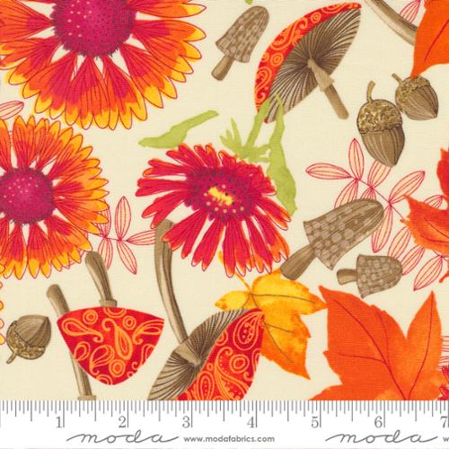 Forest Frolic Indian Blanket Flowers Cream Robin Pickens Moda Cotton Fabric