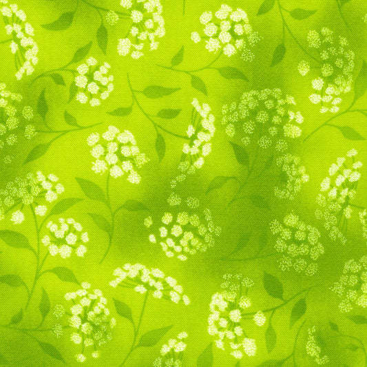 Fusions Queen Anne's Lace Pickle Green Robert Kaufman Cotton Fabric