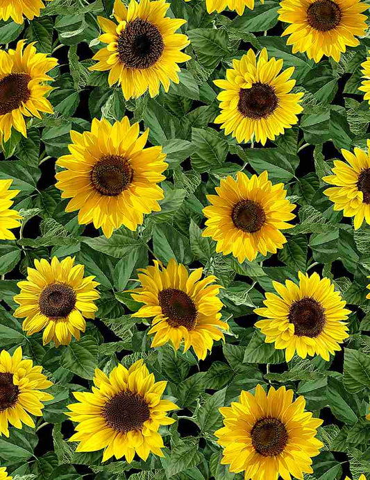 Garden Bouquet Small Leafy Sunflowers Black Timeless Treasures Cotton fabric