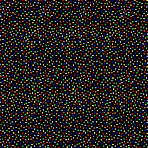 Garden Pindot Brite Rainbow Dots Black Michael Miller Cotton Fabric