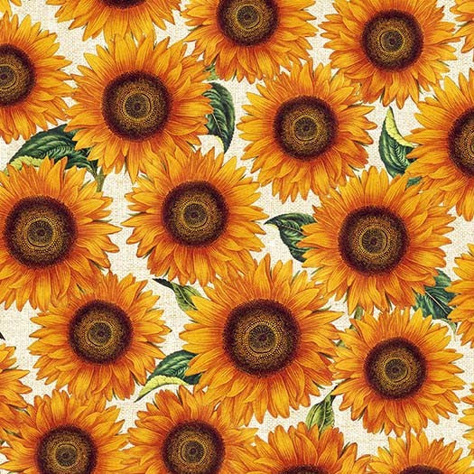 Garden Variety Sunflower Meadow Cream Michael Miller Cotton Fabric