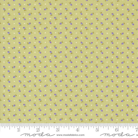 Georgia Tiny Floral Dot Willow Green Brenda Riddle Designs Moda Fabrics Cotton Fabric