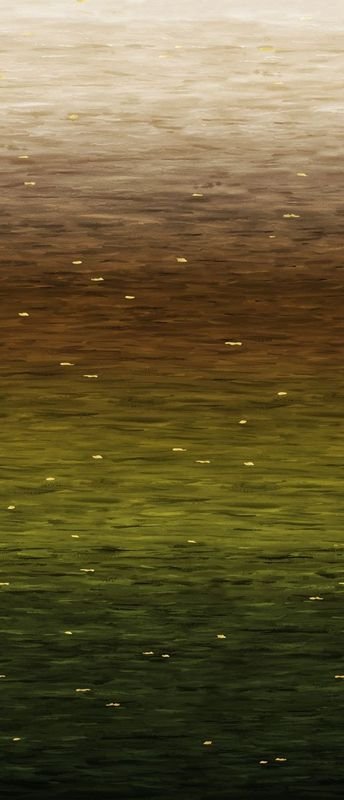 Go with the Flow Moss 108" Wide Backing OMBRE Funny Girl Studio E Cotton Fabric SE-8834-62