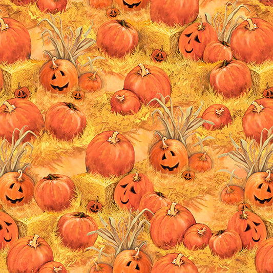 Golden Days Pumpkin Patch D DonFrancisco Blank Quilting Cotton Fabric