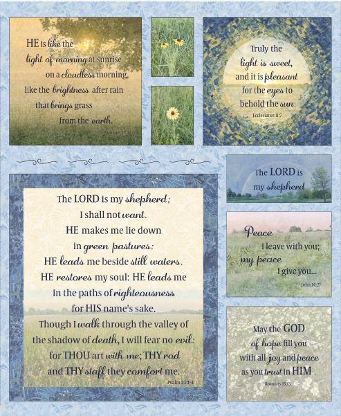Green Pastures Panel 36" Wing and a Prayer Timeless Treasures Cotton Fabric TT-PANELJT-CD4389-PASTURE
