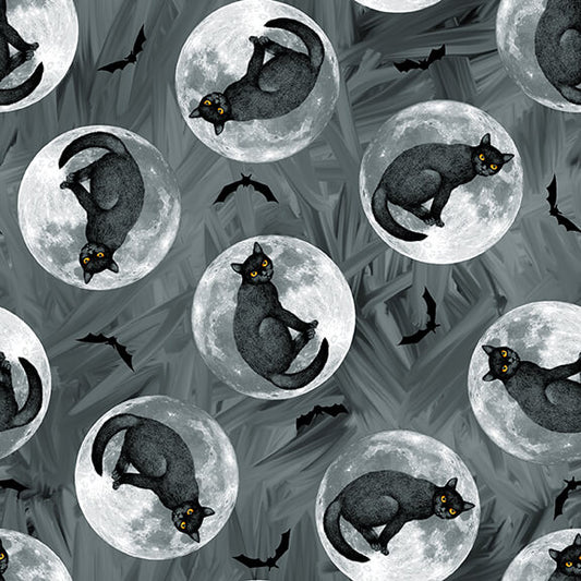 Halloween Countdown Cats Moon Glow Dark Grey Urban Essence Blank Quilting wide Cotton Fabric